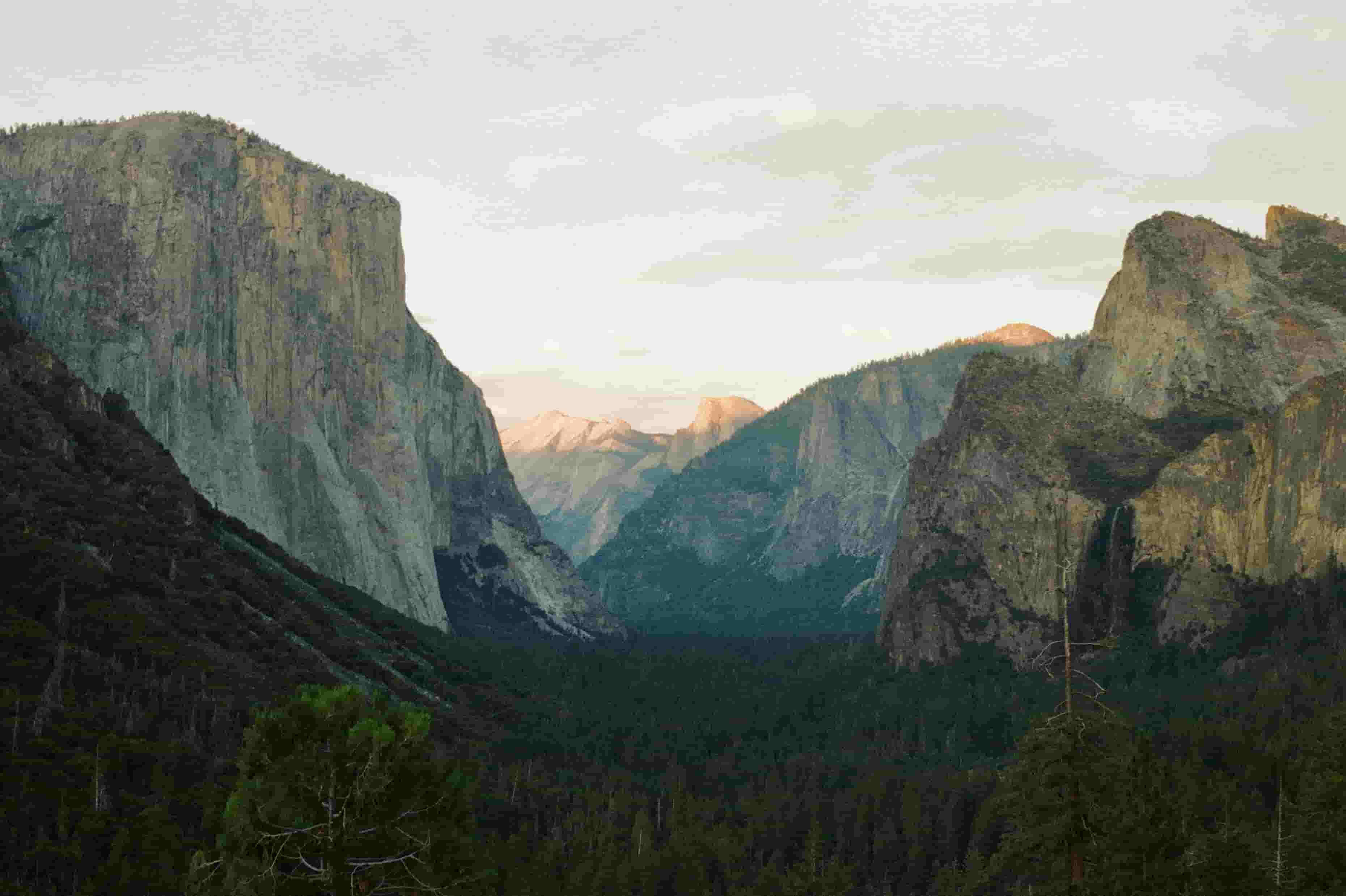 Sowrav's Nature Photography - Stunning Landscapes and Wildlife Photography